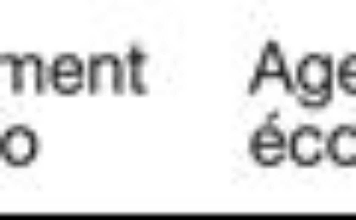 WhatsApp Image 2025-09-12 at 6.45.11 AM